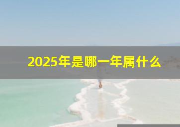 2025年是哪一年属什么