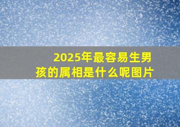 2025年最容易生男孩的属相是什么呢图片