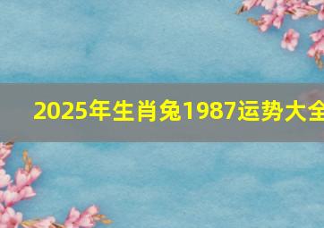 2025年生肖兔1987运势大全