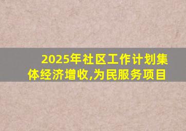 2025年社区工作计划集体经济增收,为民服务项目