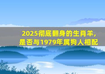 2025彻底翻身的生肖羊,是否与1979年属狗人相配