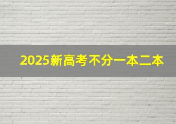 2025新高考不分一本二本