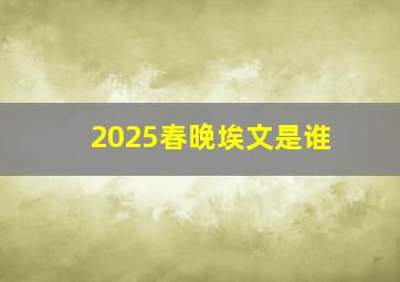 2025春晚埃文是谁