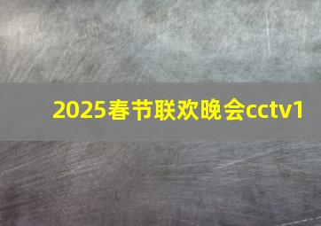 2025春节联欢晚会cctv1