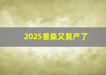 2025普桑又复产了