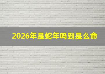 2026年是蛇年吗到是么命