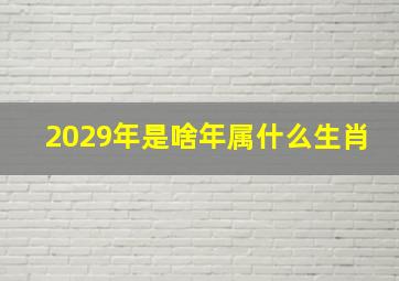 2029年是啥年属什么生肖