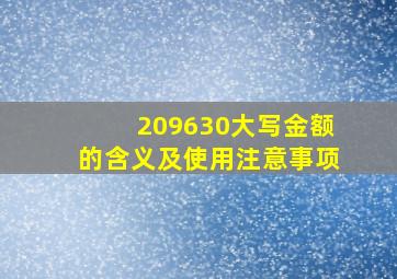 209630大写金额的含义及使用注意事项