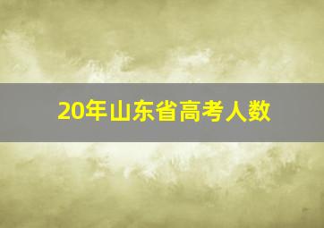 20年山东省高考人数