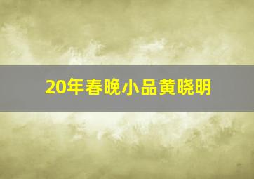 20年春晚小品黄晓明