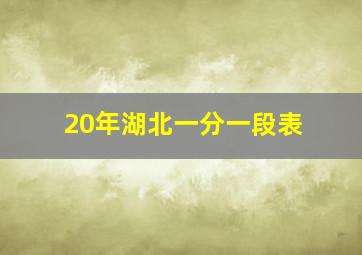 20年湖北一分一段表