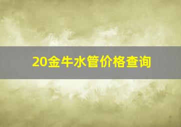 20金牛水管价格查询