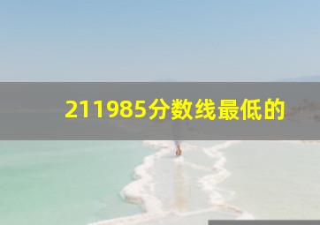 211985分数线最低的