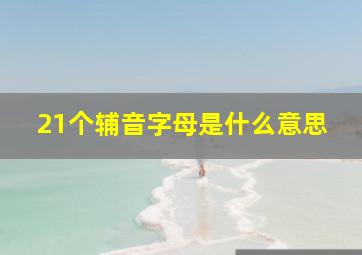 21个辅音字母是什么意思