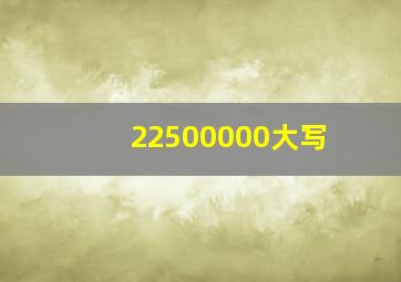 22500000大写