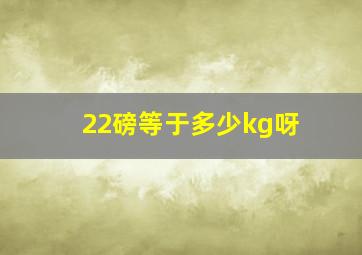 22磅等于多少kg呀