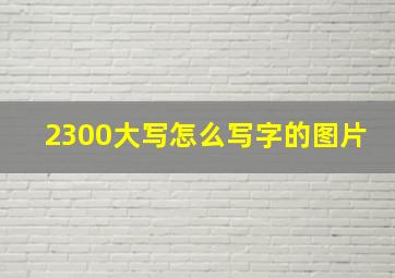 2300大写怎么写字的图片