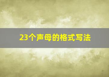 23个声母的格式写法