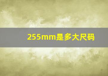 255mm是多大尺码