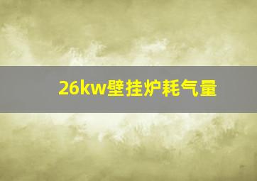 26kw壁挂炉耗气量