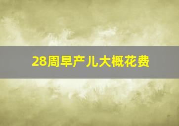 28周早产儿大概花费