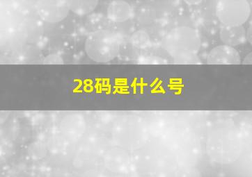 28码是什么号