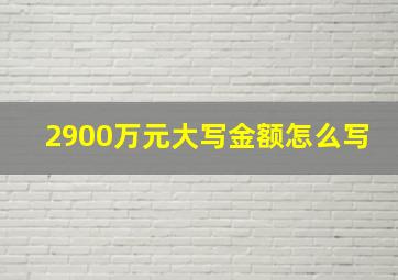 2900万元大写金额怎么写