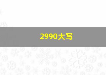 2990大写