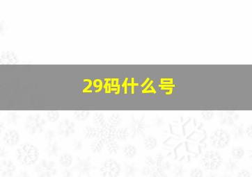 29码什么号