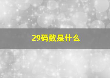 29码数是什么