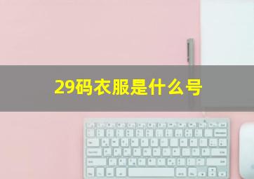 29码衣服是什么号