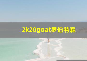 2k20goat罗伯特森