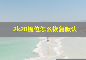 2k20键位怎么恢复默认