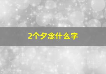 2个夕念什么字