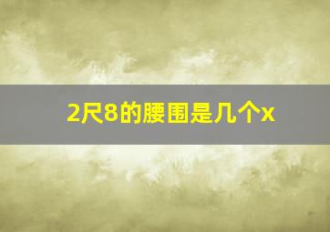 2尺8的腰围是几个x