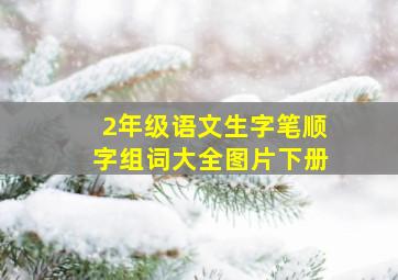 2年级语文生字笔顺字组词大全图片下册