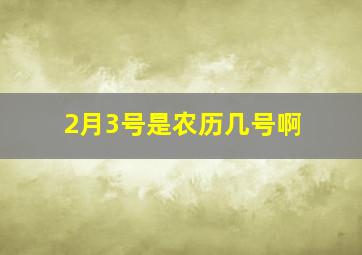 2月3号是农历几号啊