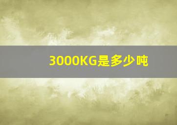 3000KG是多少吨