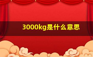 3000kg是什么意思