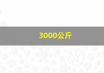 3000公斤