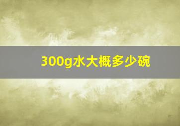 300g水大概多少碗