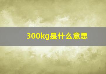 300kg是什么意思