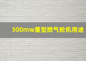 300mw重型燃气轮机用途