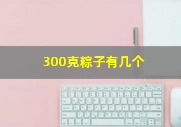 300克粽子有几个