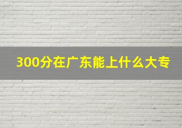 300分在广东能上什么大专