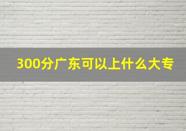 300分广东可以上什么大专