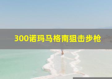 300诺玛马格南狙击步枪