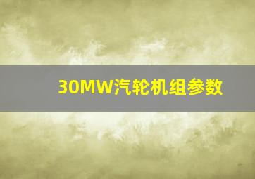 30MW汽轮机组参数