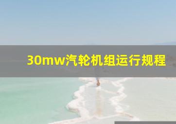 30mw汽轮机组运行规程