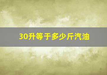 30升等于多少斤汽油